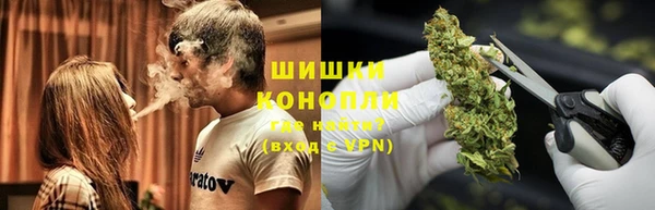 ПСИЛОЦИБИНОВЫЕ ГРИБЫ Богородицк