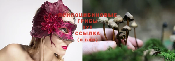 ПСИЛОЦИБИНОВЫЕ ГРИБЫ Богородицк