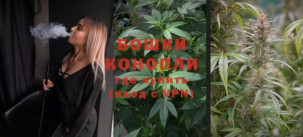 гашишное масло Богданович