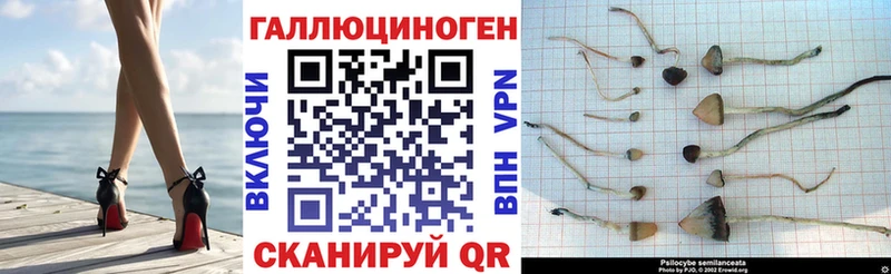 купить   Ейск  Галлюциногенные грибы MAGIC MUSHROOMS 